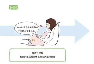 香港单身试管婴儿吗,试管婴儿不再陌生，香港单身也能实现