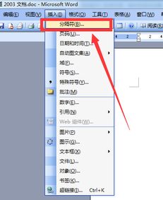 word2003中我要换下一页来打字应怎样操作 