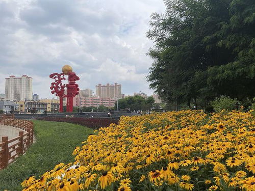 深圳皇岗公园,深圳皇岗公园：城市绿洲的魅力与活力