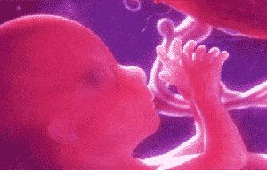 怀孕7个月胎儿图，怀孕7个月,胎儿在妈妈肚子里的发育情况是怎样的妮