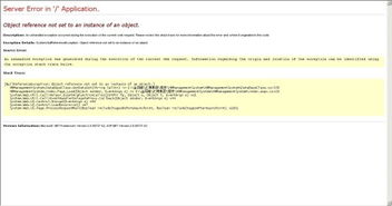 server application error,常见原因及解决方法