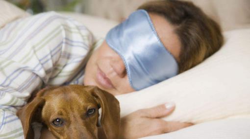 狗狗和人一起睡觉的 四大危害 ,对健康有影响,别不信