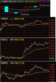 请问中小盘股票有那些，