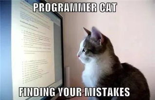 为什么程序员喜欢养猫