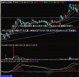 怎么知道某只股票有基金或者其他机构介入？通过成交量看吗？