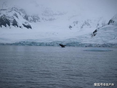 越过南极才算环游世界,想看去南极旅游的游记在这里