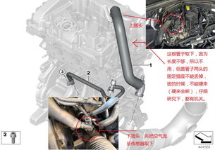  宝马 B48 废气风门控制断路：真相到底是什么？  