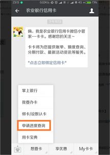 如何查农业银行信用卡申请进度(农业银行信用卡中心进度查询)