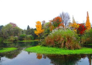贵阳花溪湿地公园,贵阳花溪湿地公园：自然与城市的和谐共生