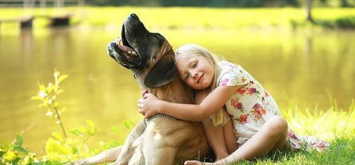 狗狗具有抚慰心灵的能力,天真可靠的它们,是如何治疗自闭儿童的