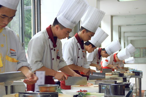 厨师学校有哪些专业,一般烹饪学校都有哪些专业呀