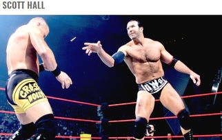 至今影响WWE的十大经典摔角套路 难怪摔角还是以前好看 