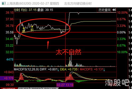 股票t字板什么意思？