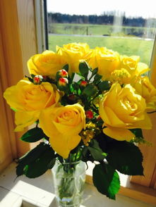 12朵黄玫瑰在美国意味着什么？