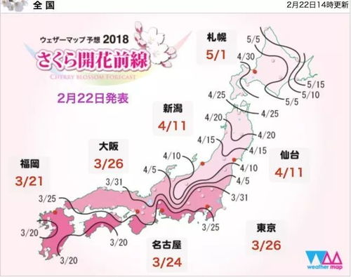 中国樱花开放时间,樱花开放时间分