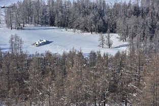 喀纳斯的林海雪原 组图 