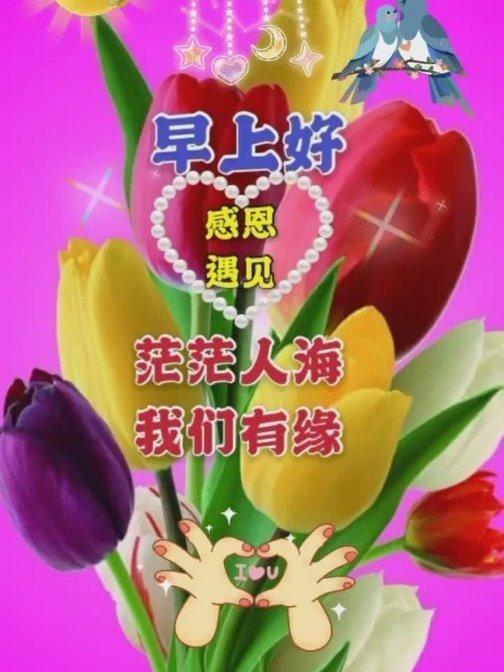 早安暖心祝福语句,发朋友圈最美的早上好祝福表情图片