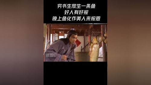 无人区高清免费看完整版,无人区高清免费看完整版:科技驱动新体验