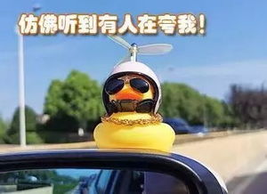老司机注意了 这种网红 小黄鸭 ,不仅危险还涉嫌违法