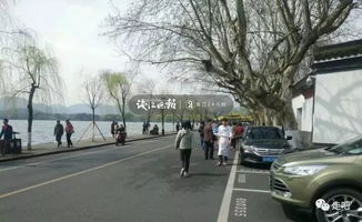 杭州道路停车收费标准2023(曙光村免费停车场怎么收费)