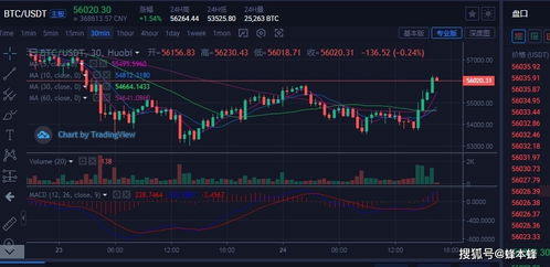 奇亚币行情走势图分析,比特币实时行情最新价格