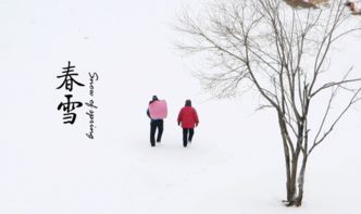 关于白雪飘扬的诗句