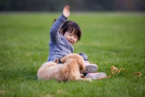 怀孕后一定要送走宠物吗 这位妈妈用亲身经历告诉你怎么办