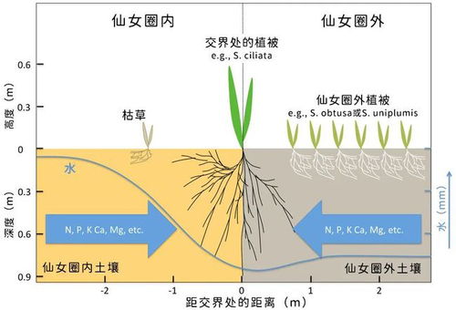 这些神秘圆圈,与图灵的理论有关