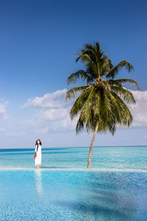 马尔代夫露丽芙岛一个浪漫的度假胜地（马尔代夫丽莉岛价格）