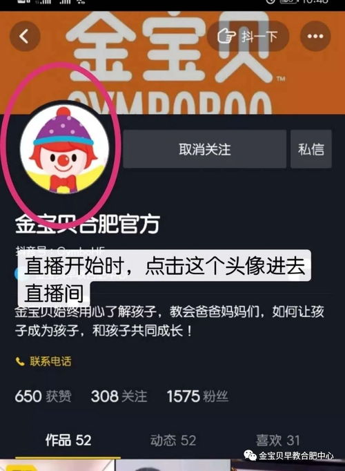 育儿直播头像怎么弄好看？育儿号怎么起号(直播育儿app)