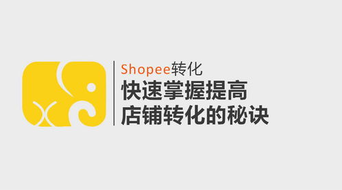 shopee关键词放在哪,掌握关键词布局，提升Shopee店铺流量