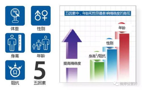 人体体成分报告解读