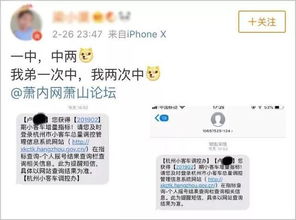 浙A摇号结束后,这两人火了 运气这东西,真是个谜......