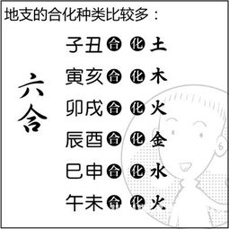 看漫画学算命,漫画解析八字命理 6 