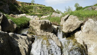 青山绿水家乡情