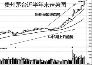 沪深300成分股全是大盘蓝筹股吗