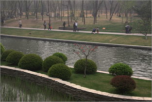 北京元大都遗址公园,标题：北京元大都遗址公园：历史与现代的交融