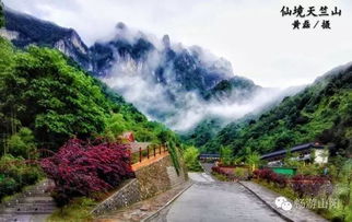 三月时节烟雨朦,天竺山春意正浓