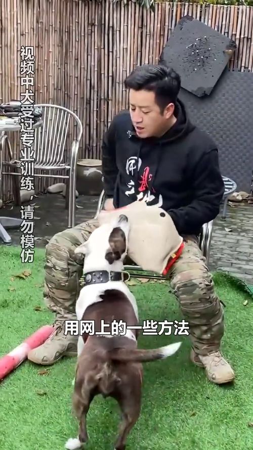 被恶犬咬住不放,这个方法能快速撬开它的嘴 防身术 百万视友赐神评 