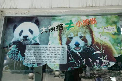意识的提升,我认为是极大的进步 徐州动物园