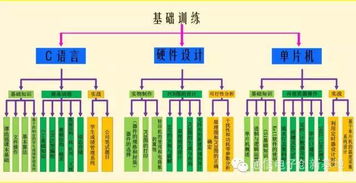 先学习到的知识