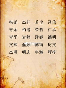 阳刚之气的男宝宝起名常用字 起名字 男孩