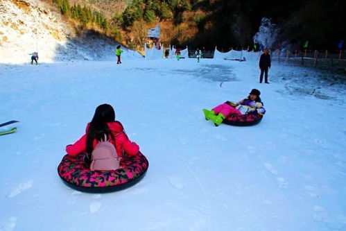 这个周末,到商於古道牧护关滑雪场我们一起嗨 