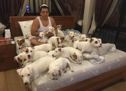 男子一口气养了20只狗,从小跟他一起睡,结果找不到对象了