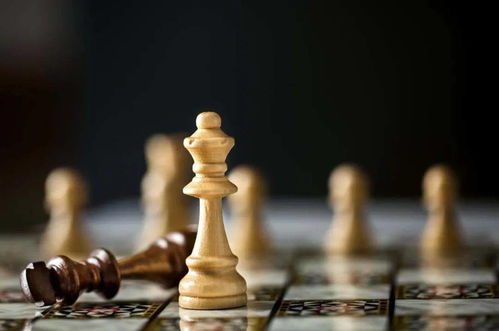 谁是棋王 这场国际象棋总决赛将在坦洲开赛