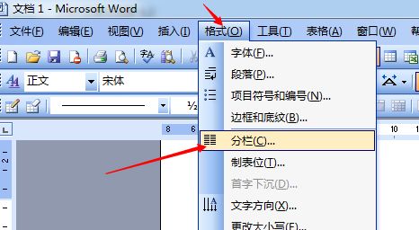 word怎么分成两列排版 