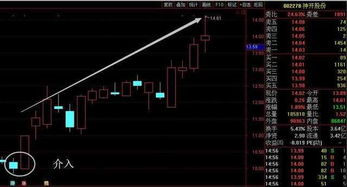 000881这只股票我第一次开仓只开了100股后来在加仓900股手续费怎么算