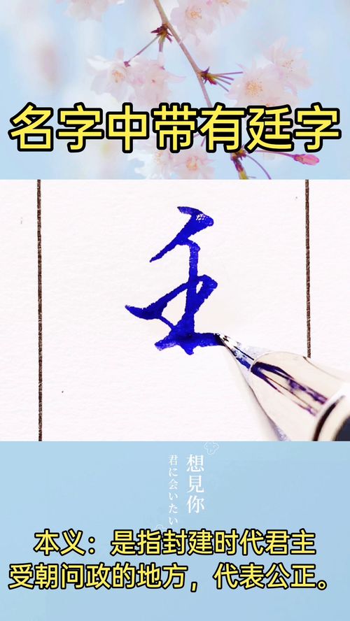 名字中带有廷字 