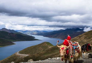 阿里小北线10日普拉多拼车 西藏阿里越野拼车 高端私享 每周二 五发团 可包越野车 商务车 包车每日发团