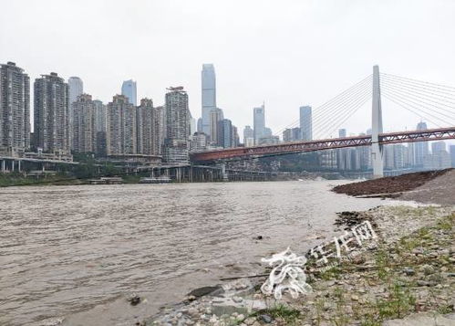 重庆主城中心城区涨水 沿岸游玩市民需提高警惕